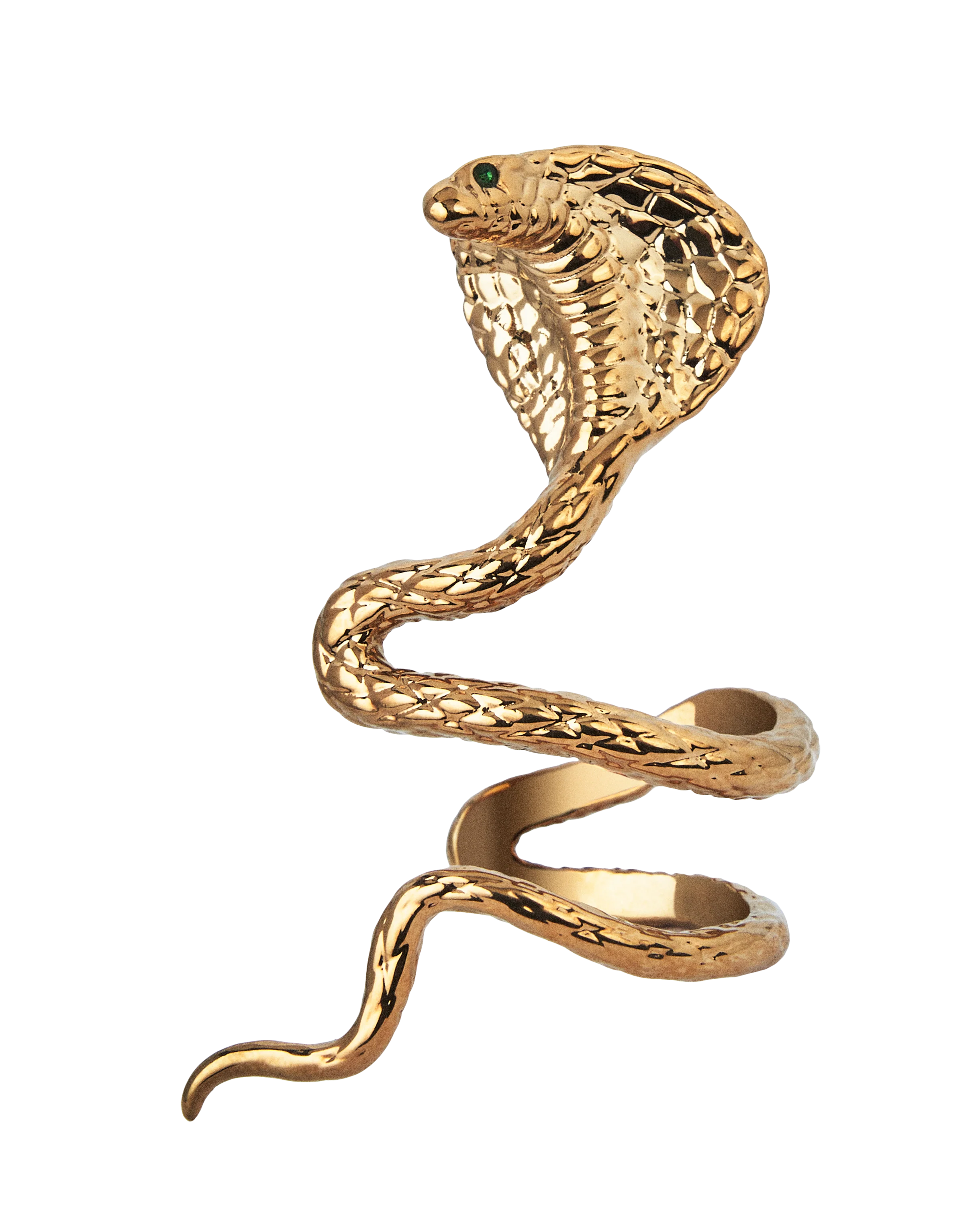 Reputation Album Snake Ear Cuff