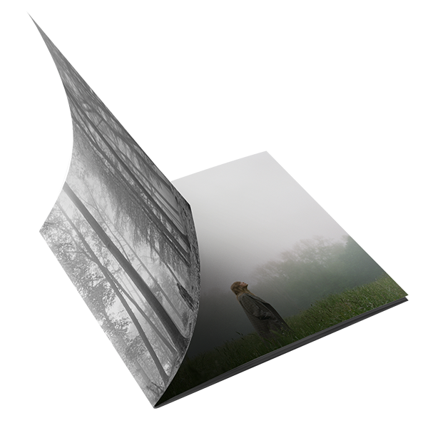 1. the "in the trees" edition deluxe cd