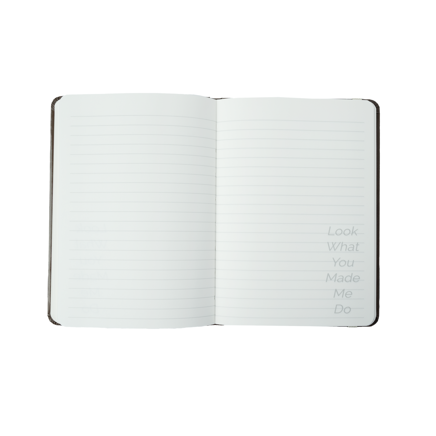 Jack Leopards & The Dolphin Club Notebook