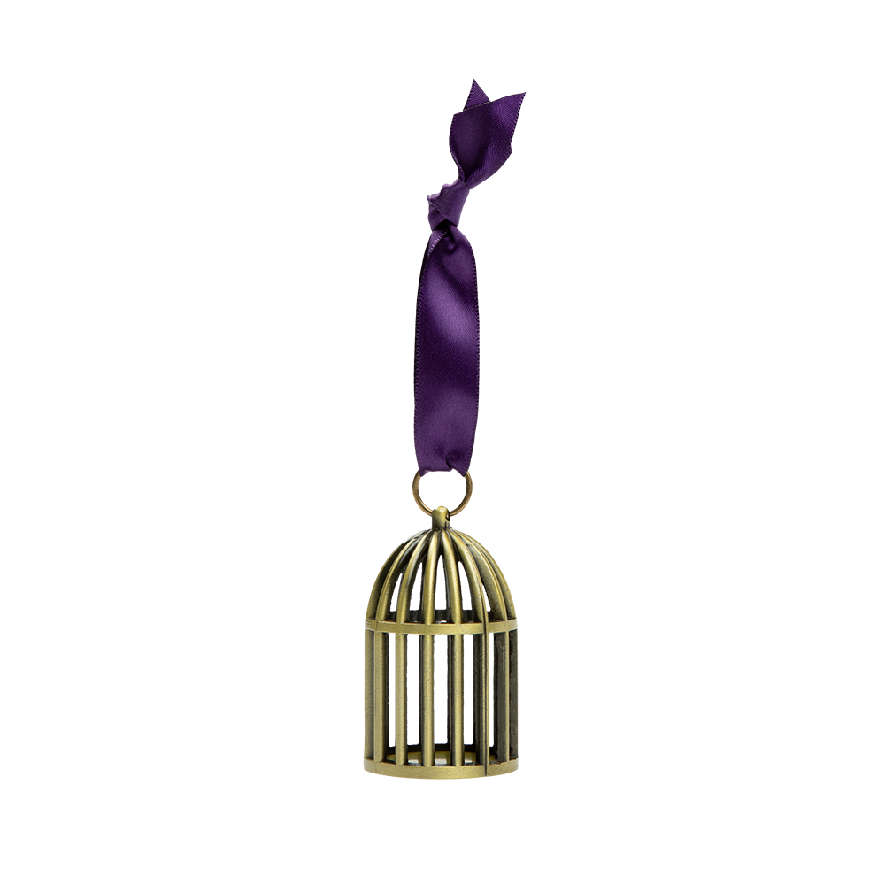 Speak Now (Taylor's Version) Bird Cage Ornament