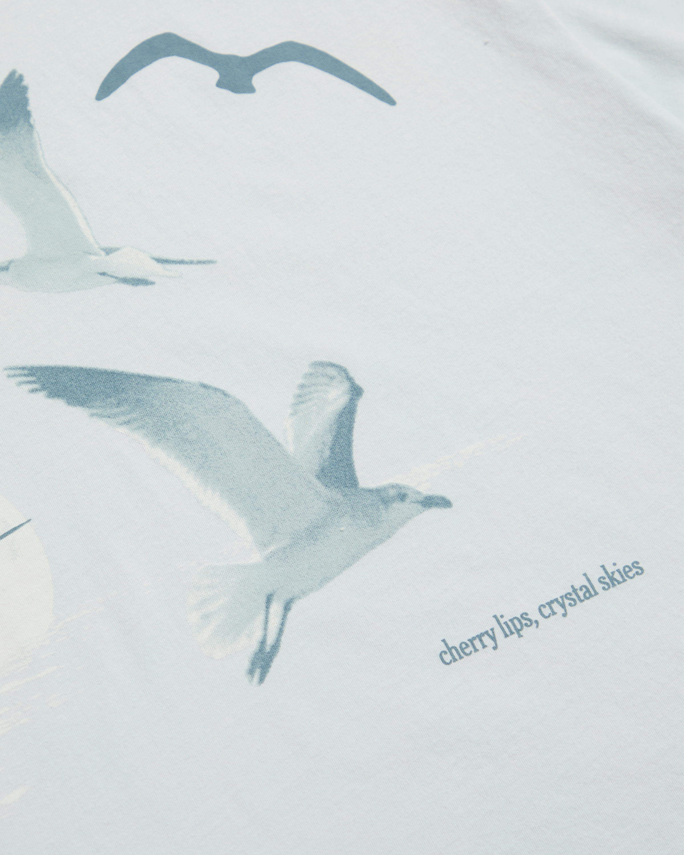 1989 (TAYLOR'S VERSION) SEAGULL BOXY T-SHIRT