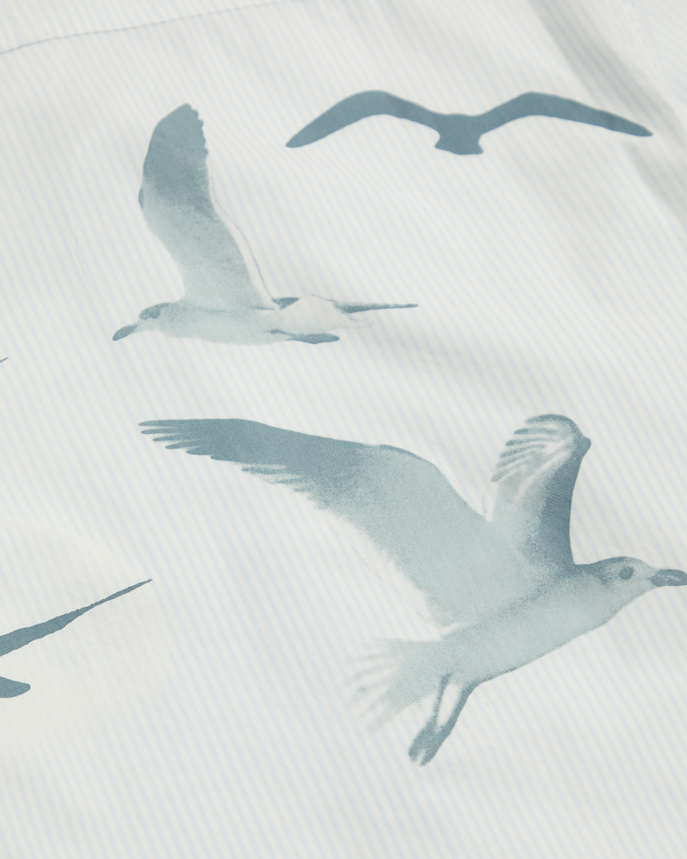 1989 (TAYLOR'S VERSION) SEAGULL BLUE STRIPE POPLIN SHIRT