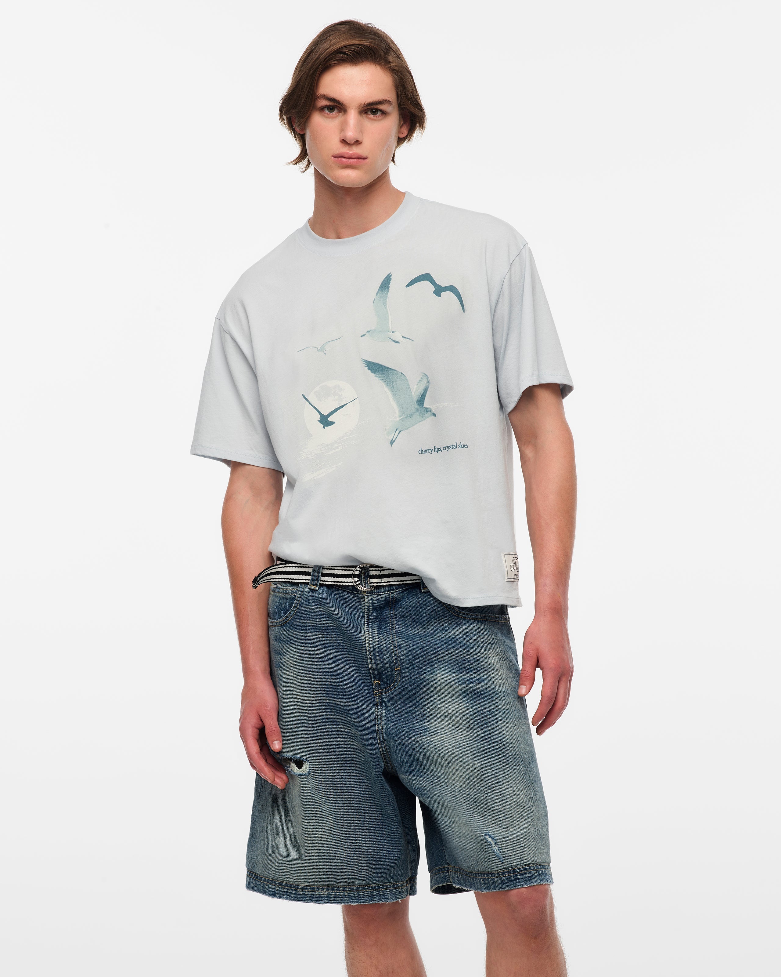 1989 (TAYLOR'S VERSION) SEAGULL BOXY T-SHIRT